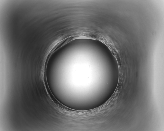 X0000096430003200801311442