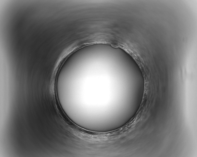 X0000096430004200801311442