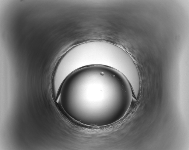 X0000096430005200801311441
