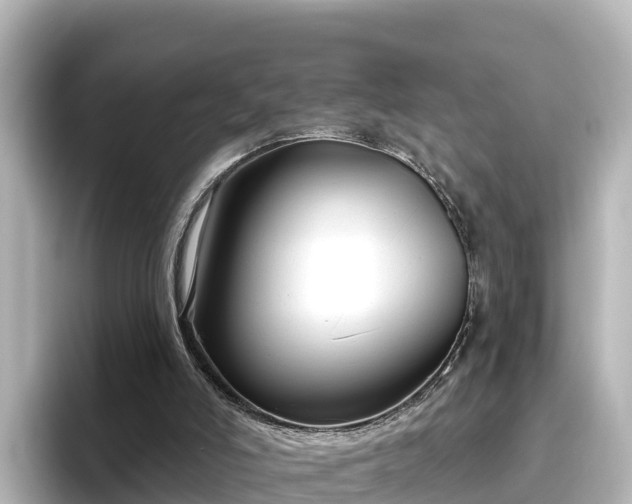 X0000096430006200801311441