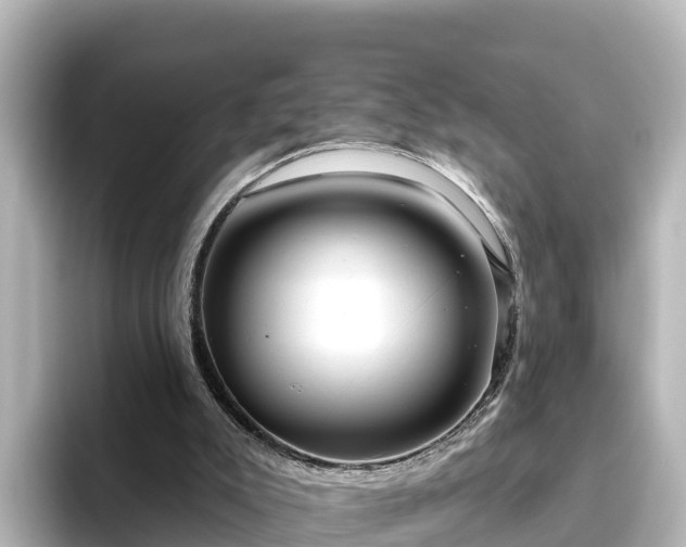 X0000096430007200801311441