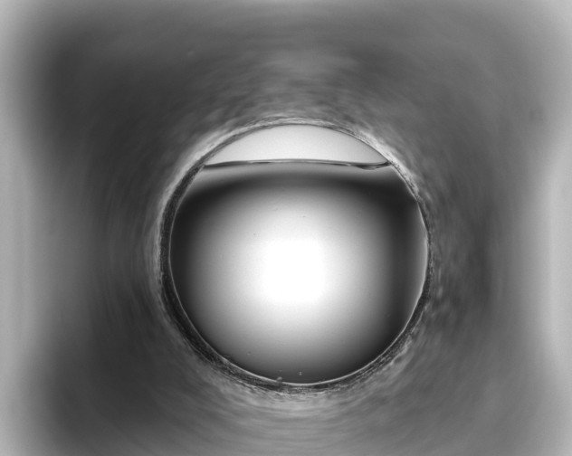 X0000096430008200801311441