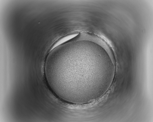 X0000096430009200801311441