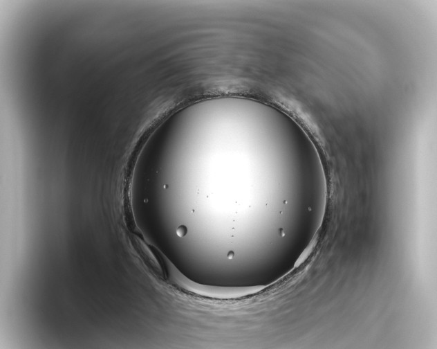 X0000096430010200801311441