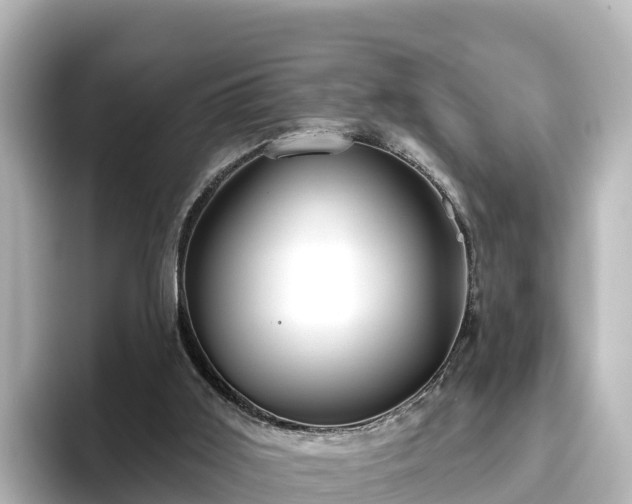X0000096430011200801311441