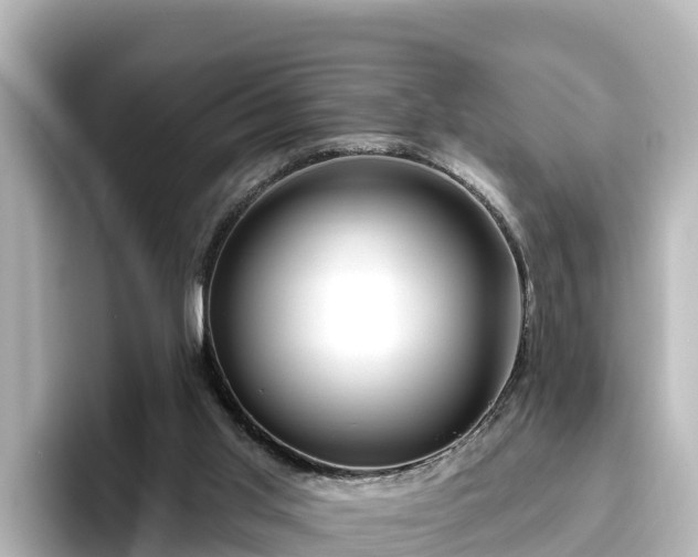 X0000096430013200801311441