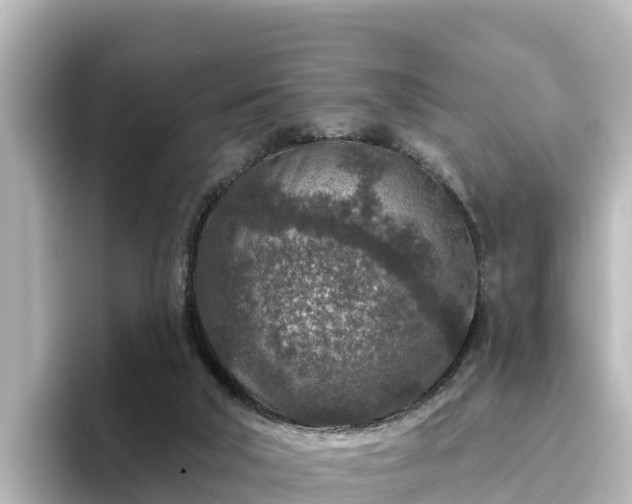 X0000096430018200801311441
