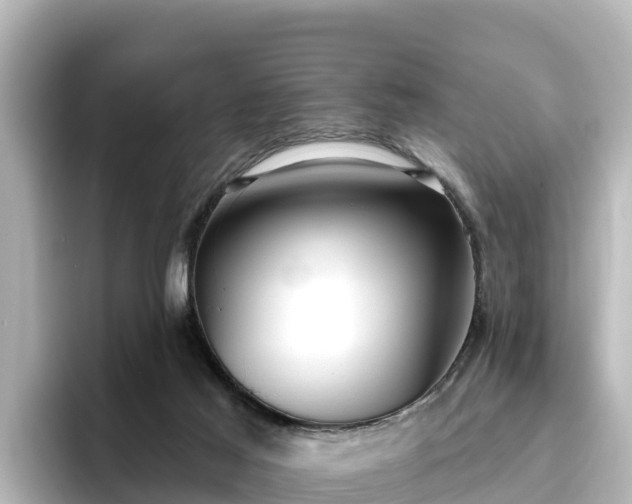 X0000096430021200801311441