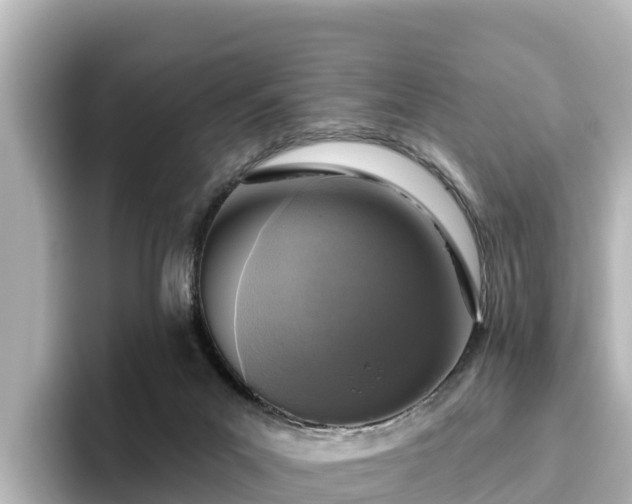 X0000096430023200801311441