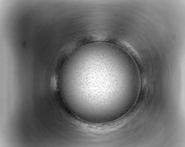 X0000096430026200801311441