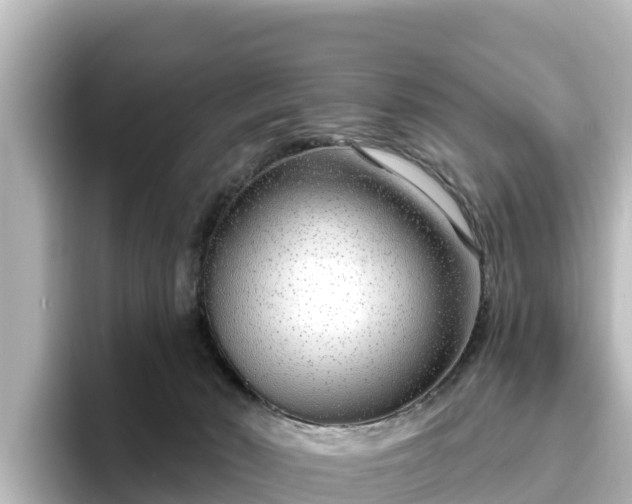 X0000096430030200801311441