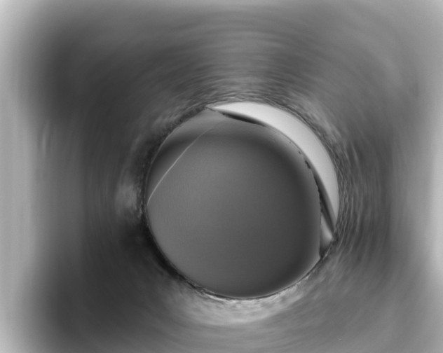 X0000096430031200801311441