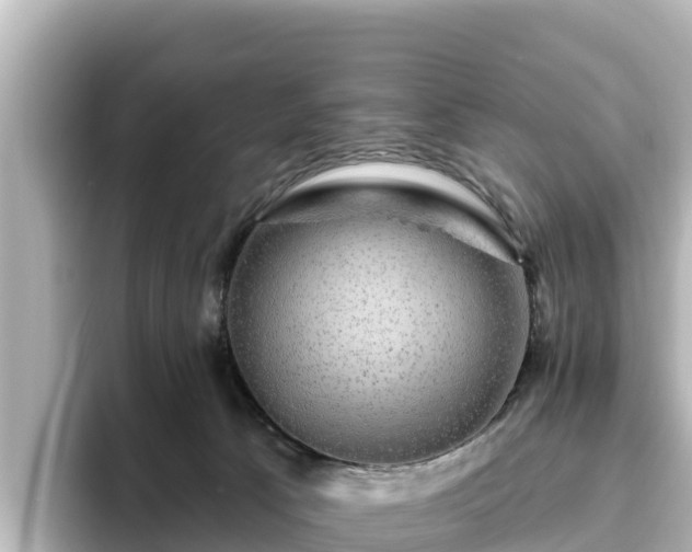 X0000096430033200801311441