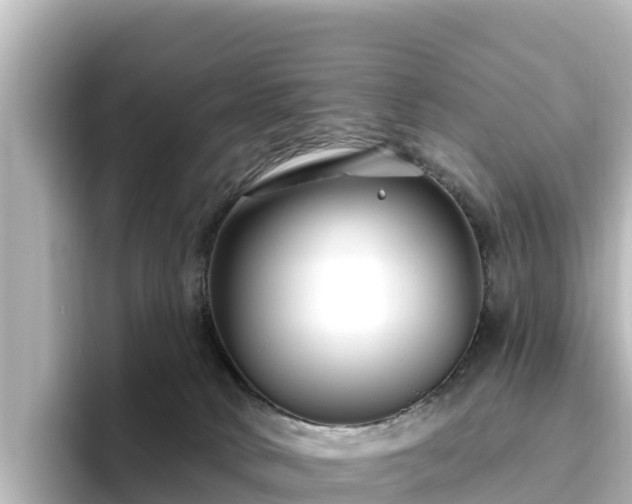 X0000096430034200801311441