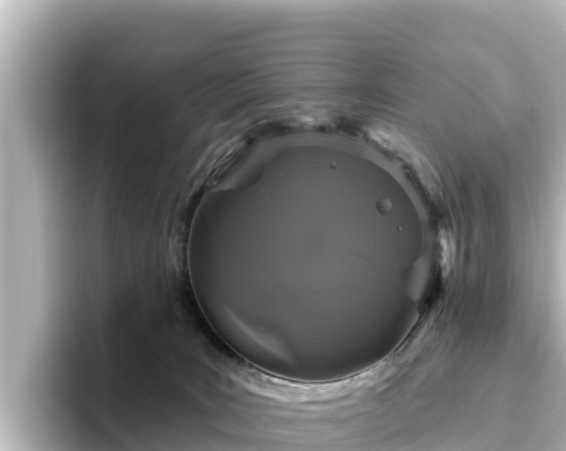 X0000096430035200801311441