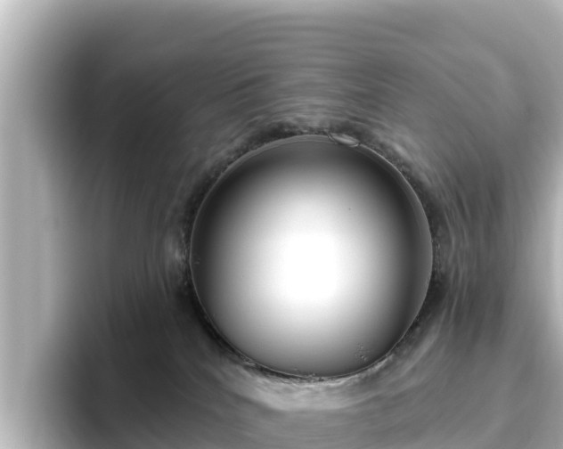 X0000096430040200801311441