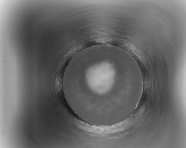X0000096430043200801311441