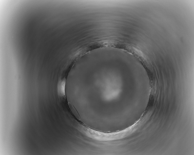 X0000096430047200801311441