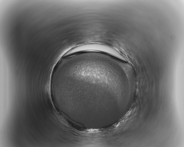 X0000096430052200801311440