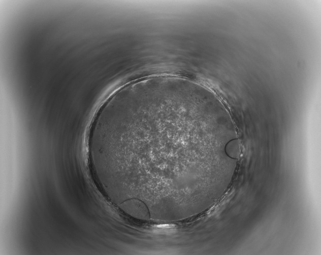 X0000096430053200801311440