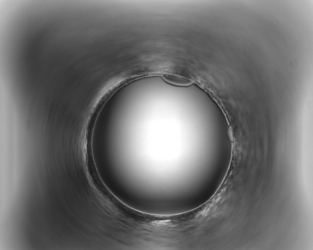 X0000096430054200801311440