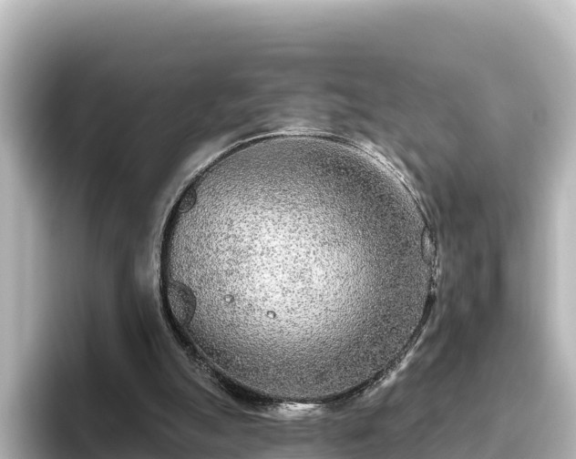 X0000096430055200801311440