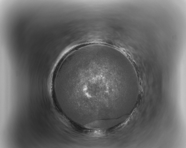 X0000096430056200801311440