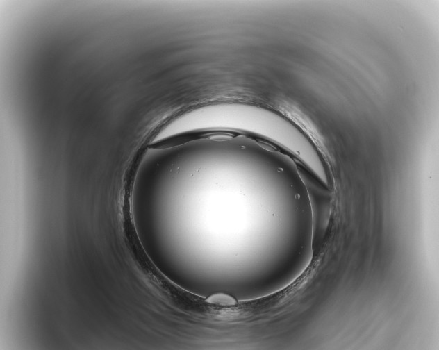X0000096430058200801311440