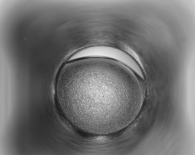 X0000096430059200801311440
