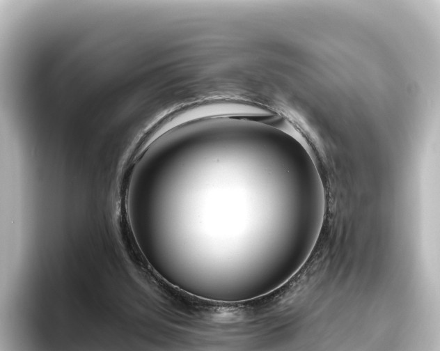 X0000096430060200801311440