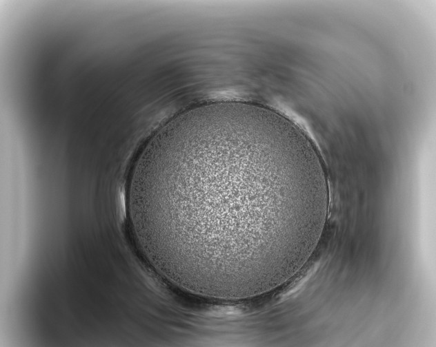 X0000096430061200801311440