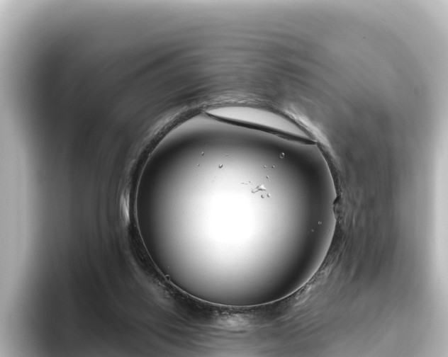 X0000096430062200801311440