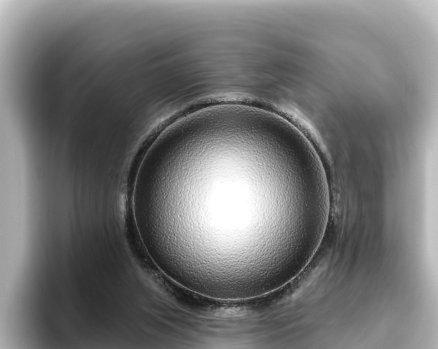X0000096430063200801311440