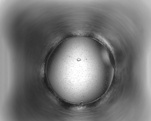 X0000096430065200801311441
