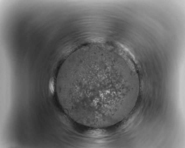 X0000096430069200801311441