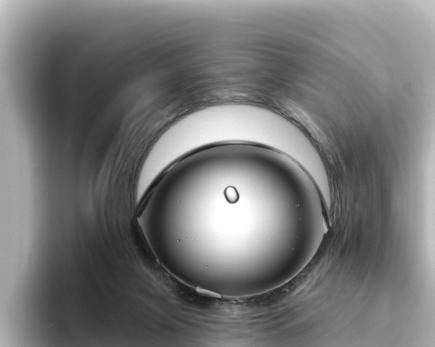 X0000096430071200801311441