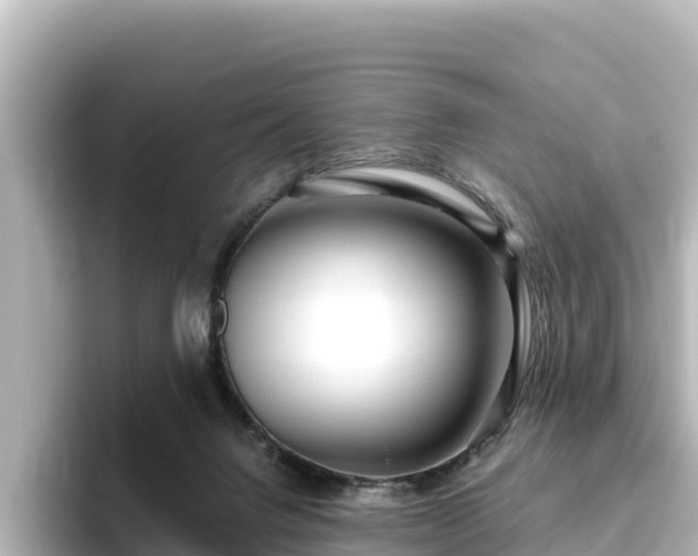 X0000096430072200801311441