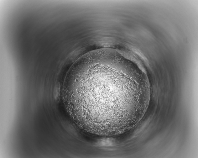 X0000096430073200801311441