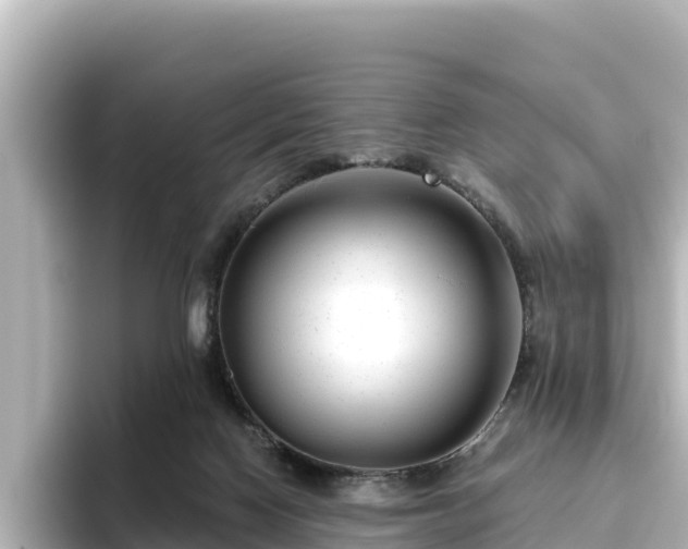 X0000096430074200801311441
