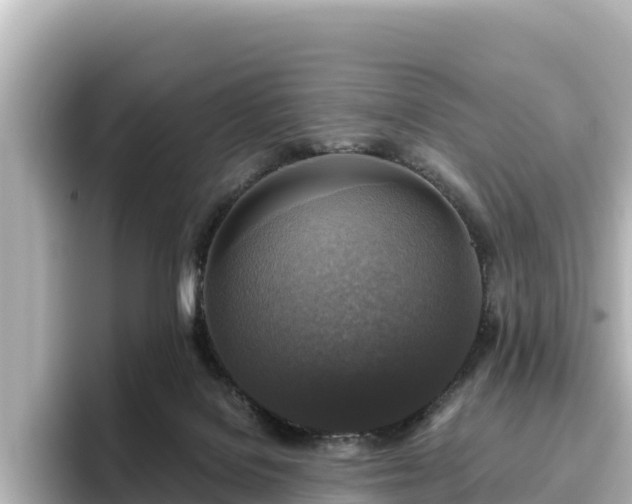 X0000096430076200801311441