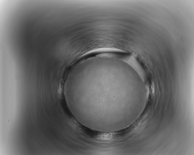 X0000096430084200801311441