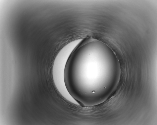 X0000096430088200801311441