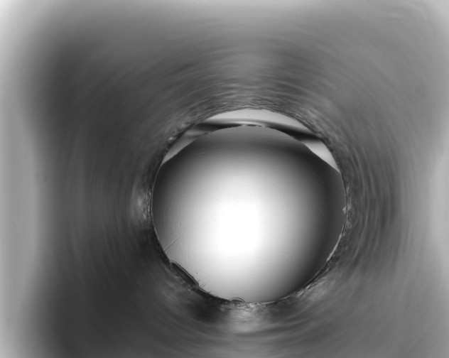 X0000096430096200801311441
