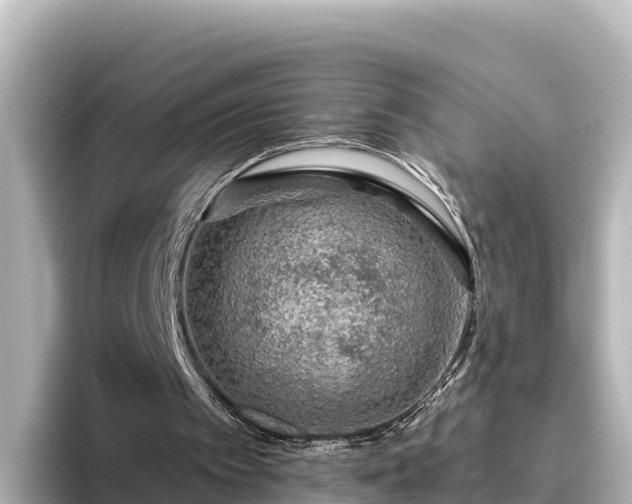 X0000096430097200801311440