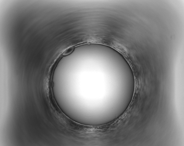 X0000096430098200801311440