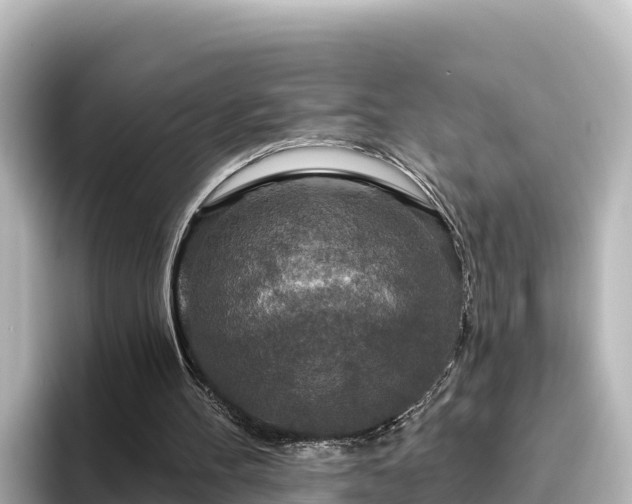 X0000096430100200801311440