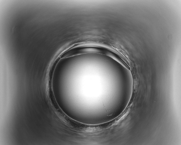 X0000096430101200801311440