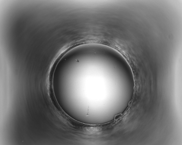 X0000096430102200801311440