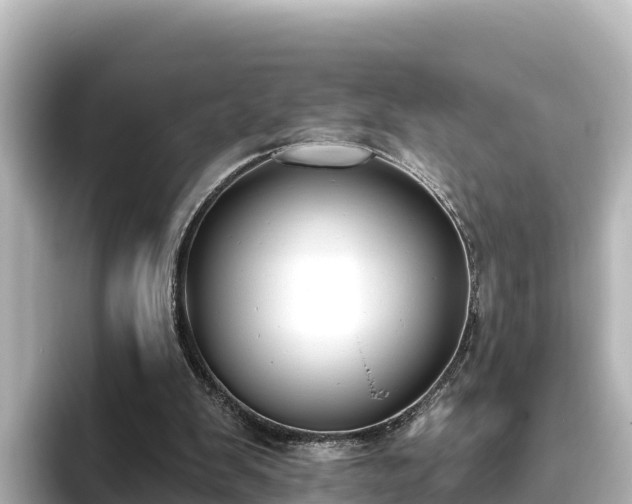 X0000096430103200801311440