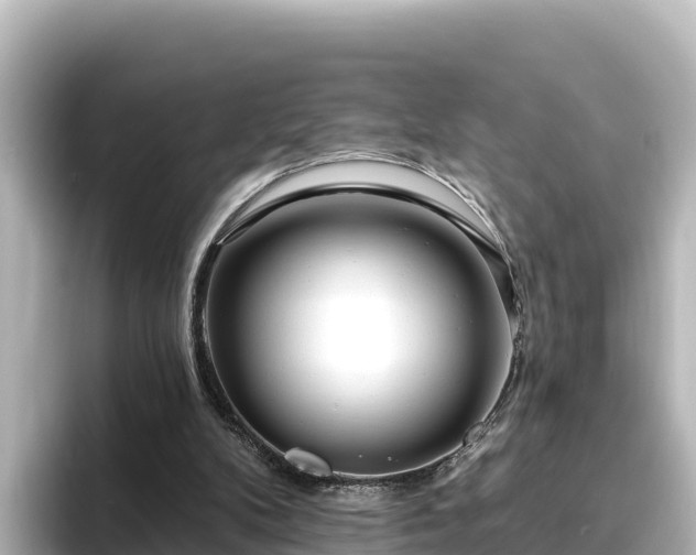 X0000096430104200801311440